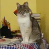 Отзыв от Полина Чеботарева
